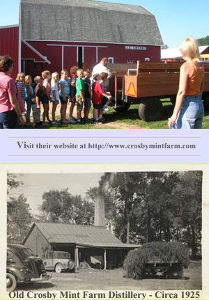 Visit Crosby Mint Farm