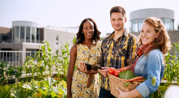 Food Series Organizations