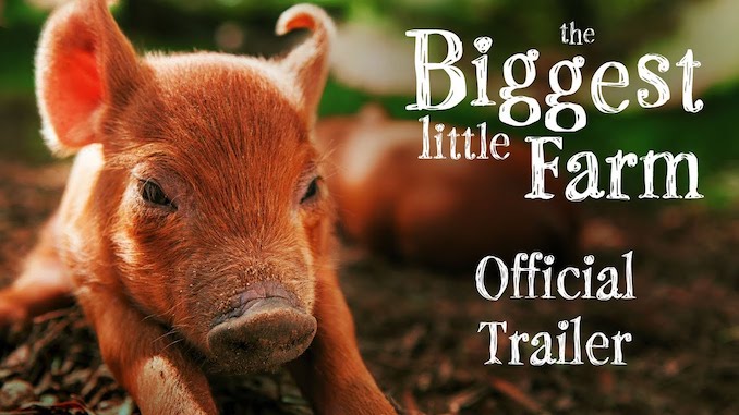 Let’s Go to the Movies: February 20, 2020 – The Biggest Little Farm