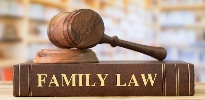 The Legal and Administrative Framework for the Force Separation of Families During Pandemic