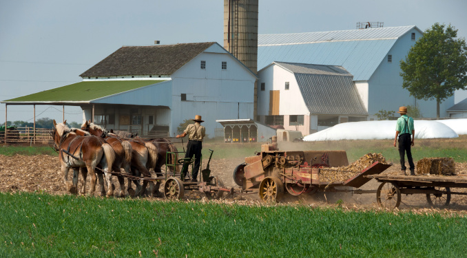 FDA Invades Non-Commercial Amish