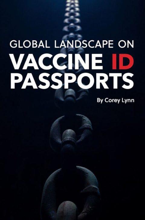 PDF Now Available for Corey Lynn’s Global Landscape on Vaccine ID Passports