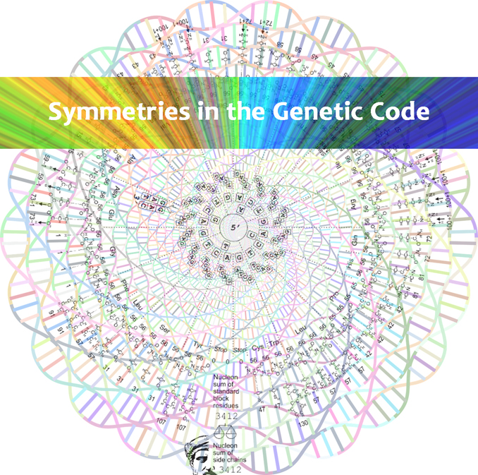 The Mathematical Symmetries of the Genetic Code