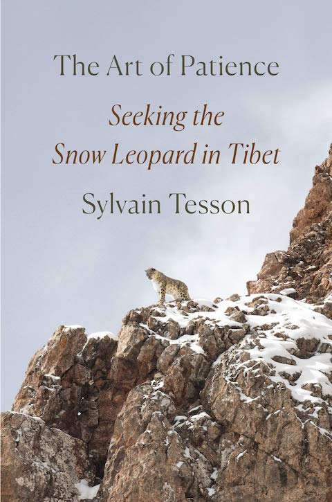 Book Review: The Art of Patience by Sylvain Tesson