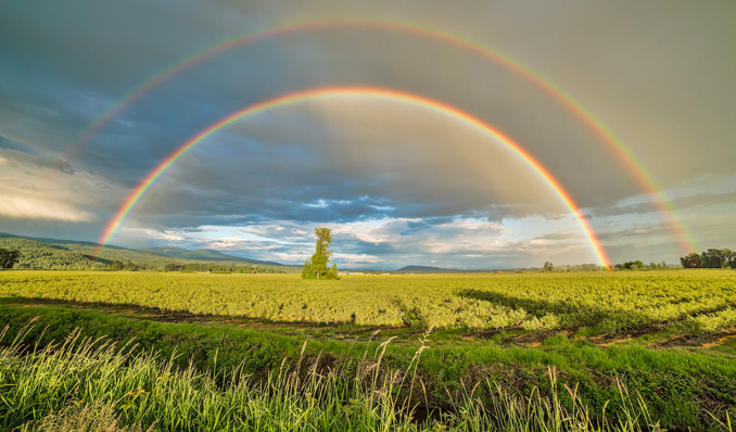 Blast from the Past: Week of October 3, 2022: Book Review: The Invisible Rainbow by Arthur Firstenberg